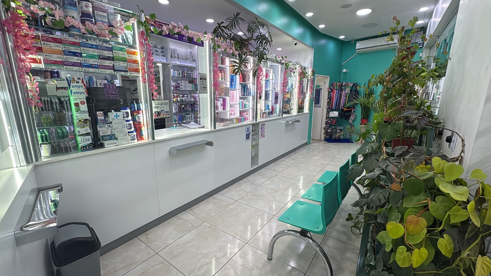 Salón con Plantas - Valores Farmacia Aztidan